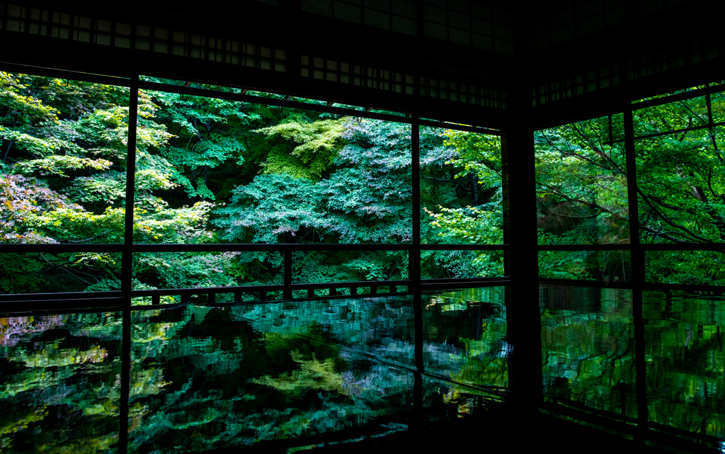 瑠璃光院