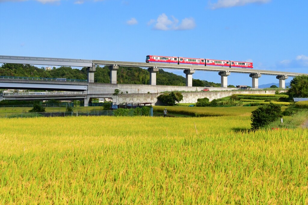 稲と秋空とモノレール