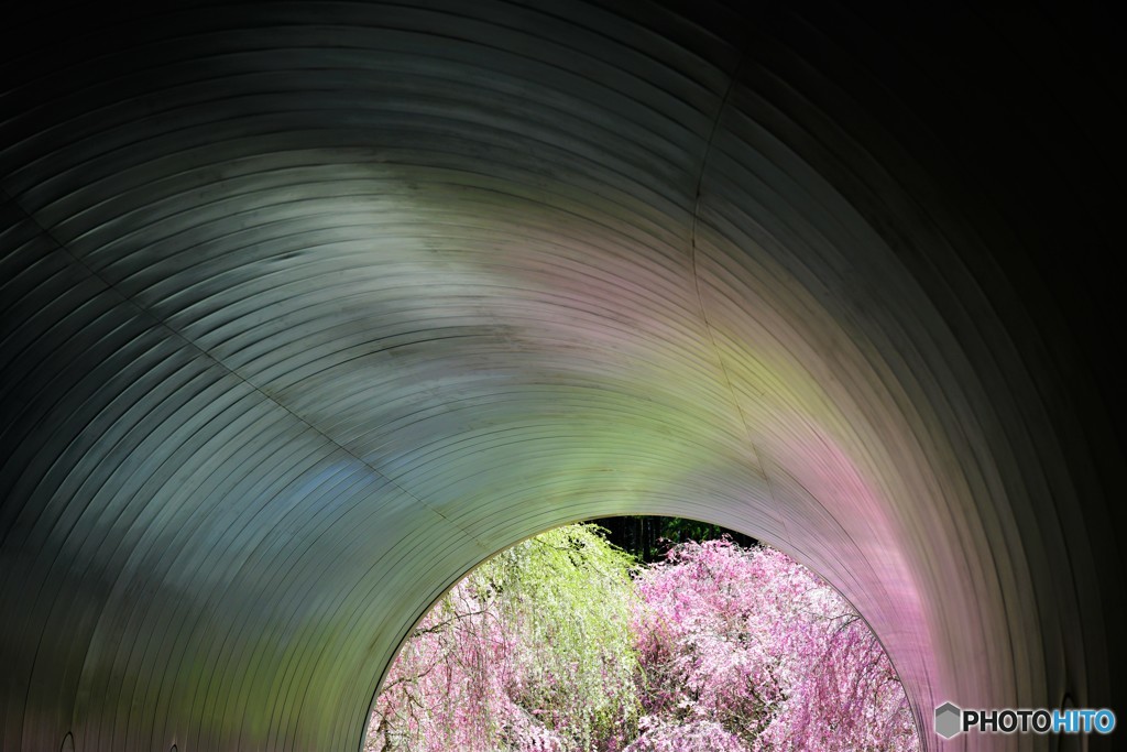 光のトンネル