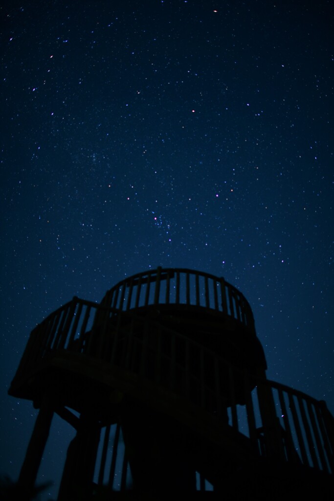 神野山の夜２