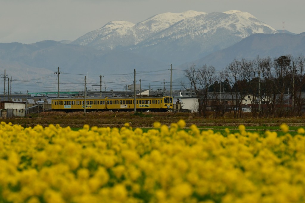 近江鉄道風景１