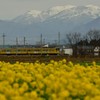 近江鉄道風景１