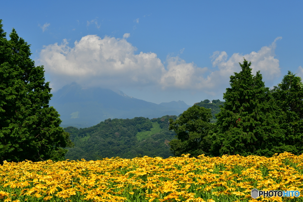 鳥取花回廊から大山を望む
