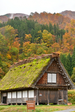 ホッとする風景