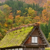 ホッとする風景