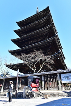 八坂の塔と人力車