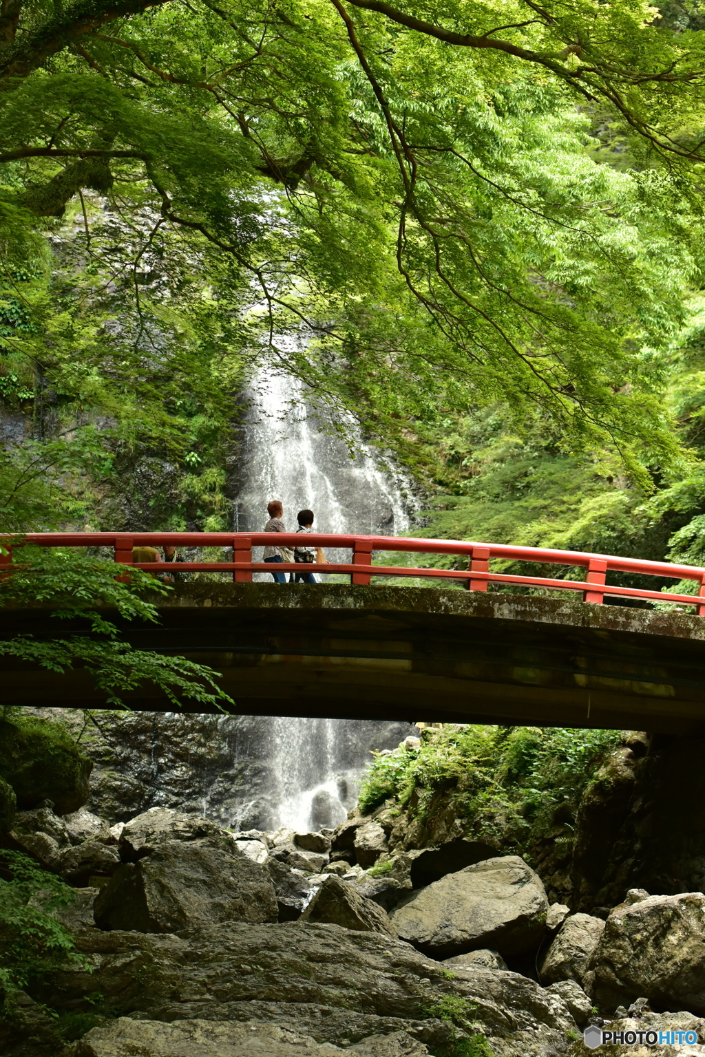 箕面大滝　初夏