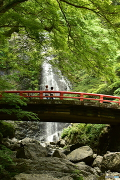 箕面大滝　初夏