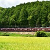 秋がキタ！