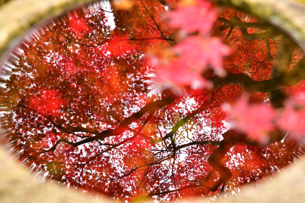 写りけり