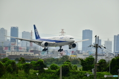 飛行機と梅田ビル街