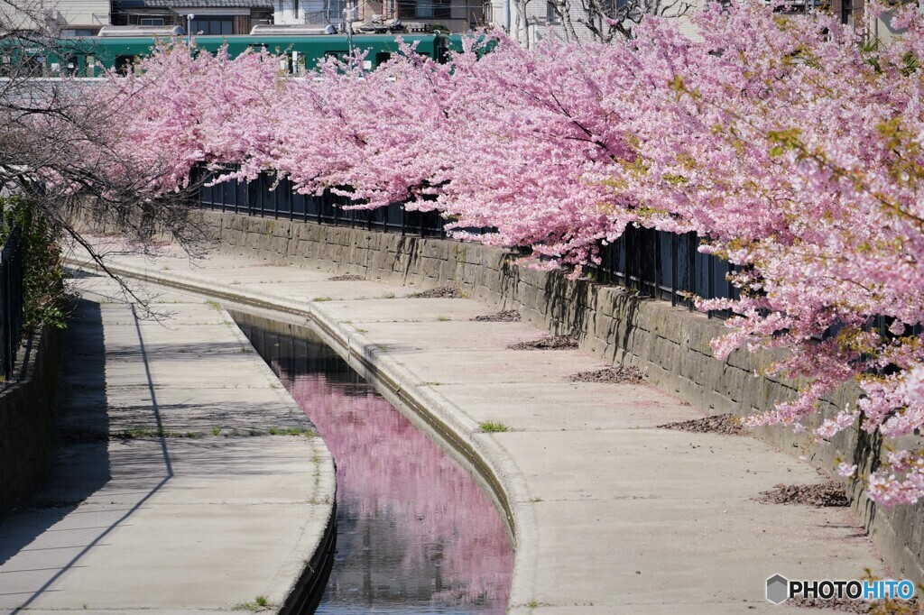 桜水路とおけいはん