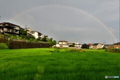 虹