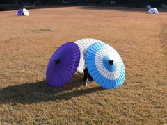 幻想庭園