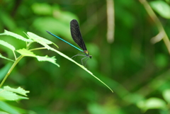 sharp edges2