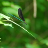 sharp edges2