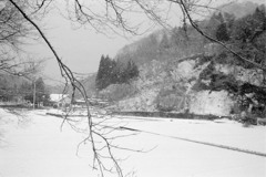 道志村の雪