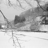 道志村の雪