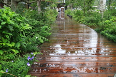 水面で飾る遊歩道