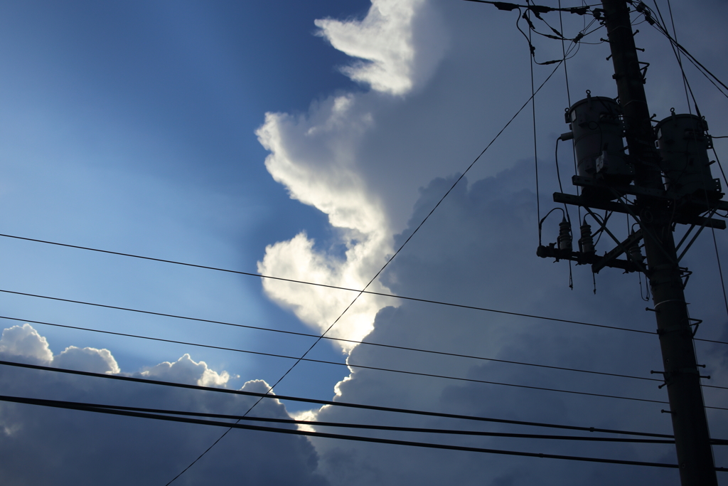 夏の電信柱