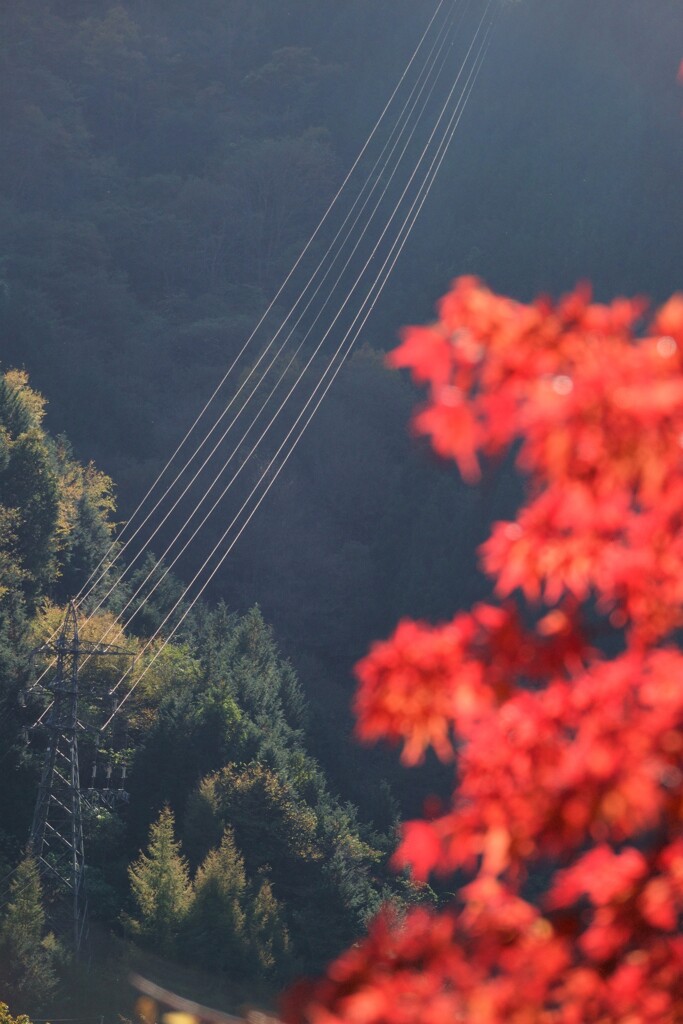 送電線は季節も送る？