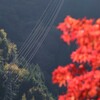 送電線は季節も送る？