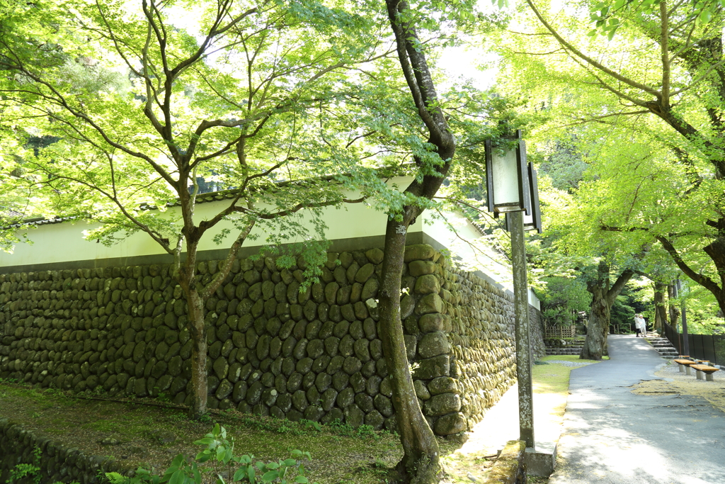 石垣と散歩道