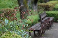 雨の日はしょうがない 雨の日はしょうがない