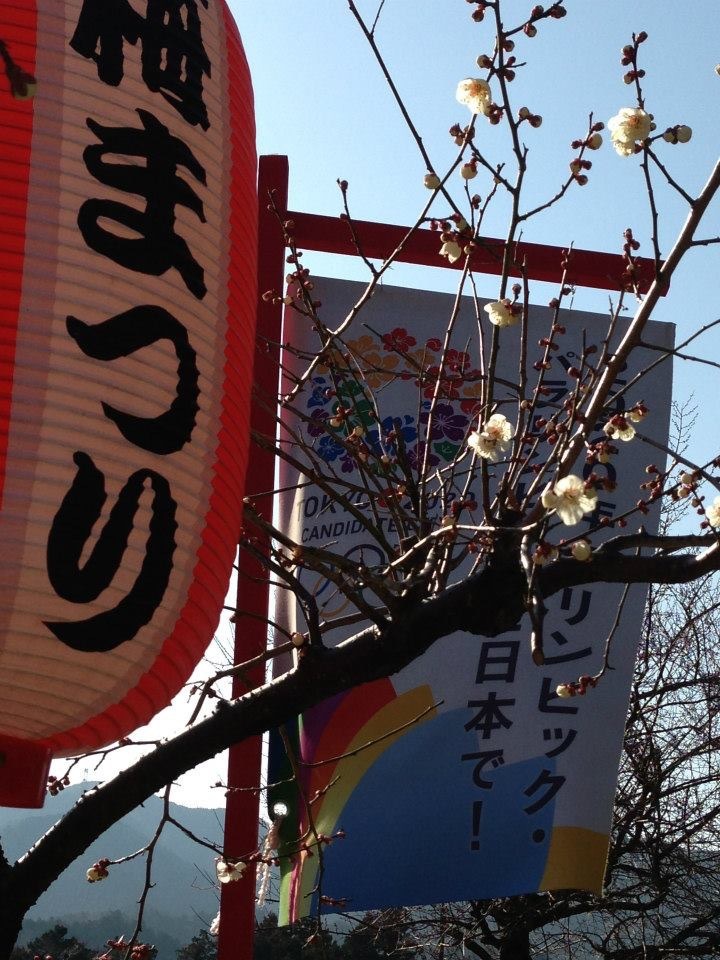 青梅 梅まつり1