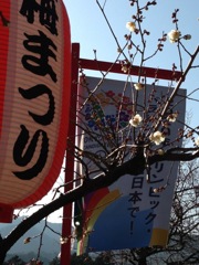 青梅 梅まつり1