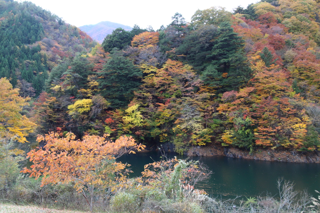水鏡には遠く
