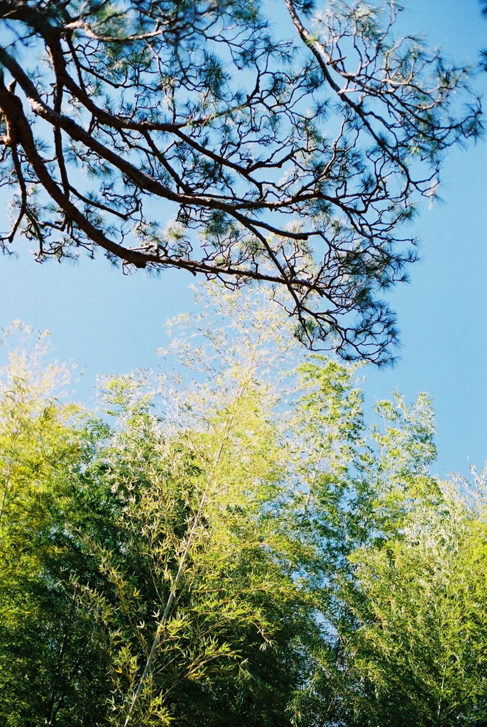 私ちょっと遅れます