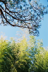 私ちょっと遅れます