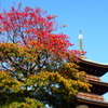 層3
