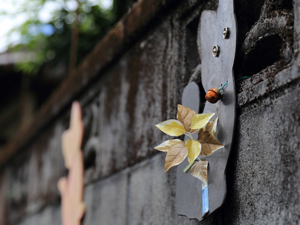 ねずみの相談