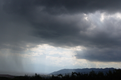 雷神不動北山桜
