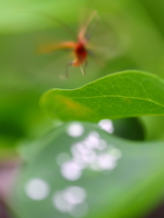 動くなって？ やなこった！ワイルドだろー⤴