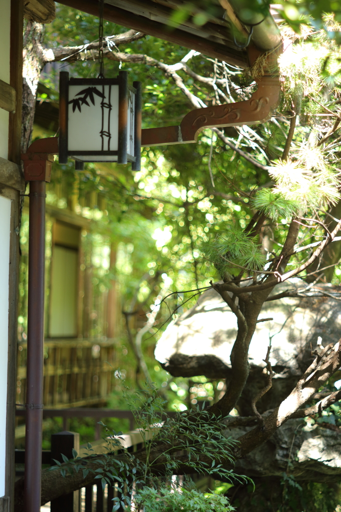 夏の盛り