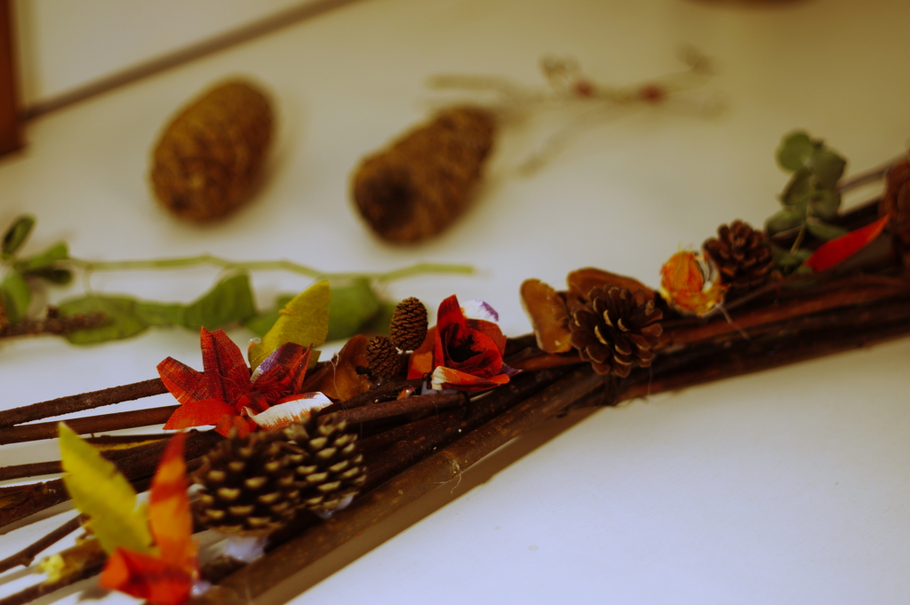 松ぼっくりのレイアウト