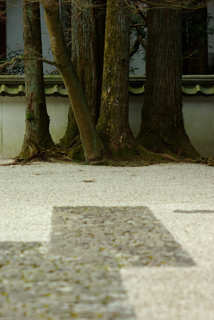 please Imagine the karesansui 2