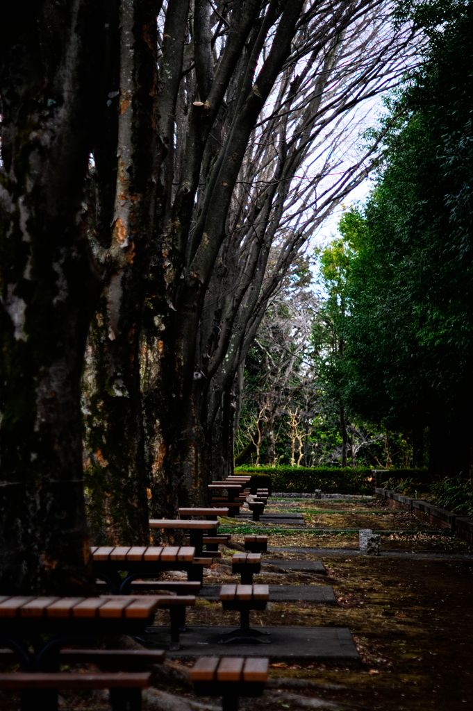 depth8