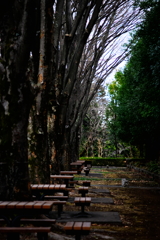 depth8