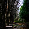 depth8