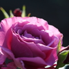 for you