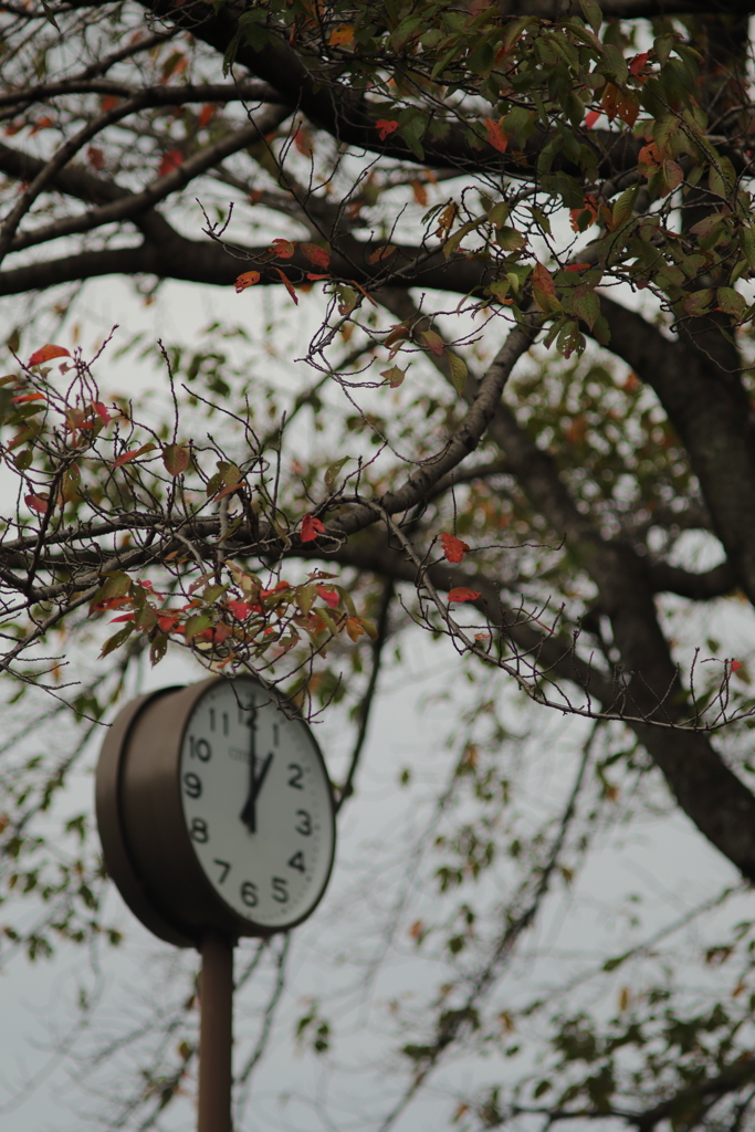 time is...若しくはtime are...