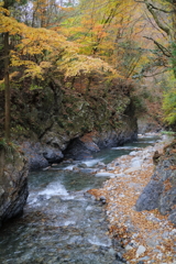 奈良子川1