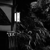 雨を待つのも