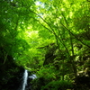 緑うもれる