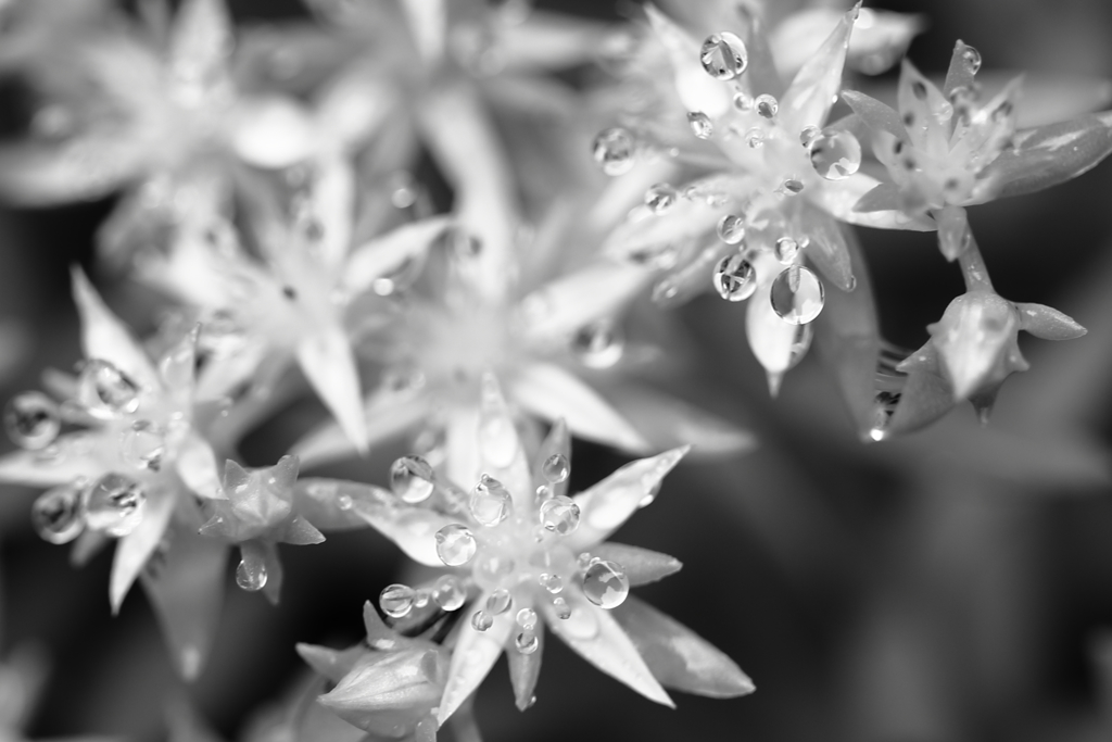 Tears In Heaven2