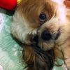 今年の生き方を考えてみたよ
